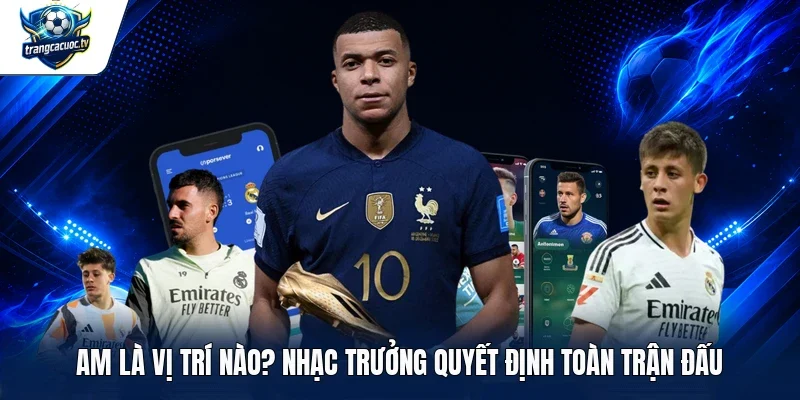 AM là vị trí nào