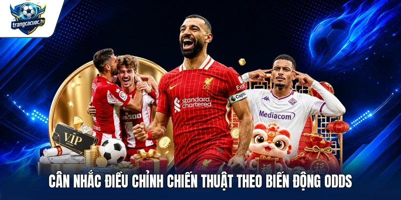 Cân nhắc điều chỉnh chiến thuật theo biến động odds