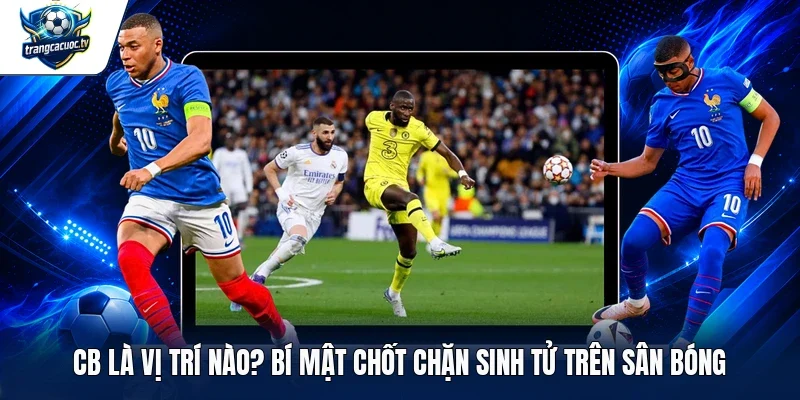 CB là vị trí nào