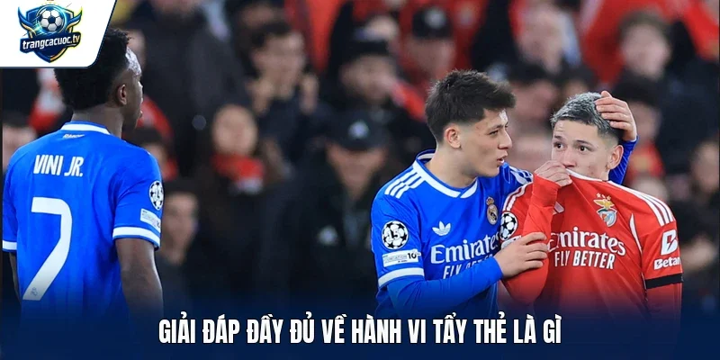 Giải đáp đầy đủ về hành vi tẩy thẻ là gì