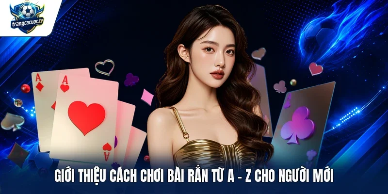 Giới thiệu cách chơi bài rắn từ A - Z cho người mới