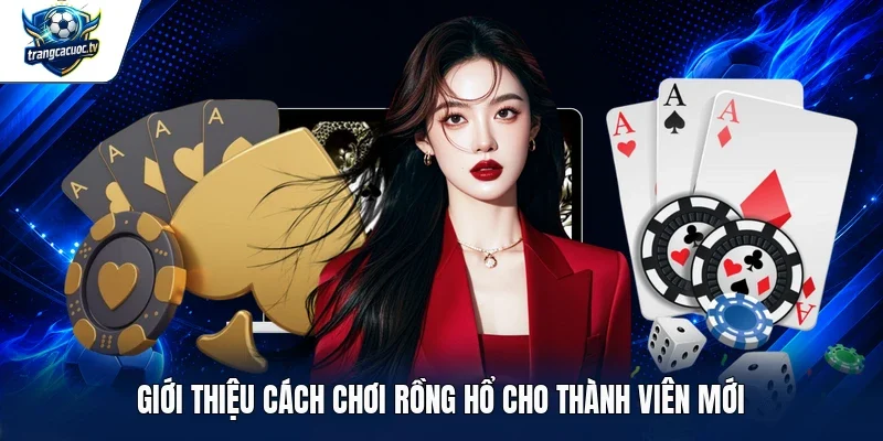 Giới thiệu cách chơi Rồng Hổ cho thành viên mới