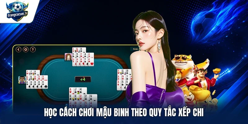 Học cách chơi Mậu Binh theo quy tắc xếp chi