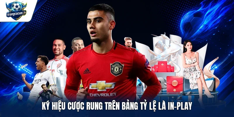 Ký hiệu cược rung trên bảng tỷ lệ là In-Play