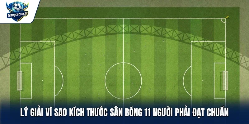 Lý giải vì sao kích thước sân bóng 11 người phải đạt chuẩn