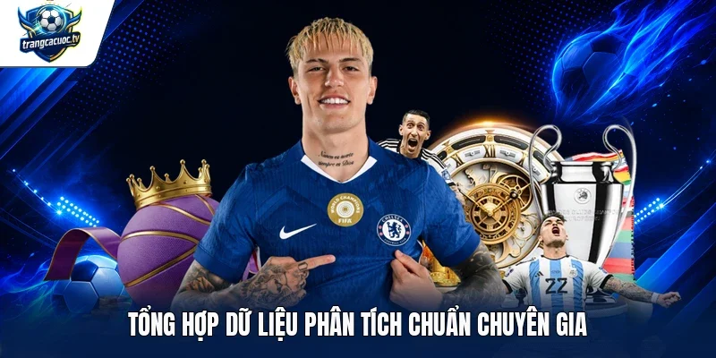 Tổng hợp dữ liệu phân tích chuẩn chuyên gia